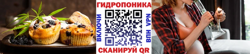 Cannafood конопля  Купить закладки  Сокол 