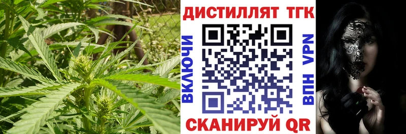 Купить где  Сокол  ТГК концентрат 