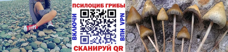 Псилоцибиновые грибы MAGIC MUSHROOMS  Купить  Сокол 